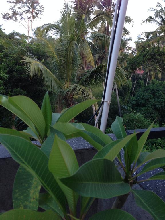 Cebluk Sari Apartman Ubud Kültér fotó