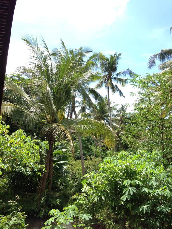 Cebluk Sari Apartman Ubud Kültér fotó